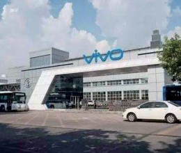 VIVO